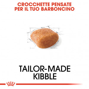 Royal Canin Adult Barboncino cibo per cane