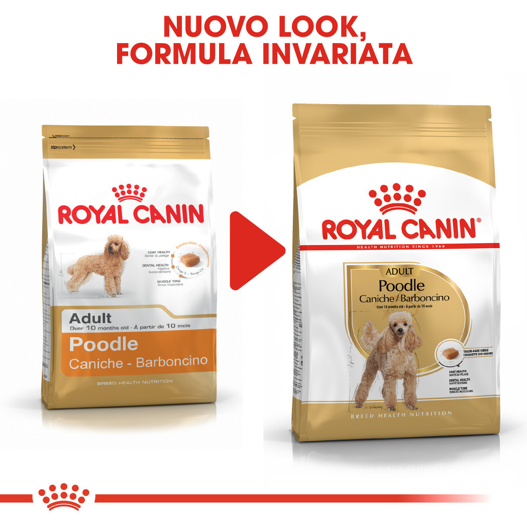 hair skin royal canin