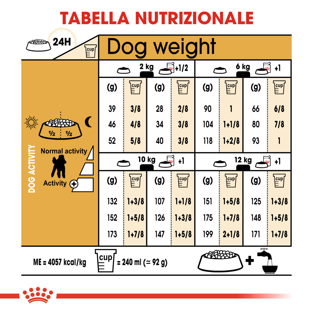 Royal Canin Adult Barboncino cibo per cane