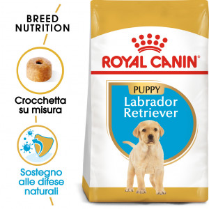 Royal Canin Puppy Labrador Retriever cibo per cane