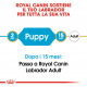 Royal Canin Puppy Labrador Retriever cibo per cane
