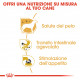 Royal Canin Chihuahua Adult Wet
