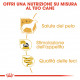 Royal Canin Yorkshire Terrier Adult Wet