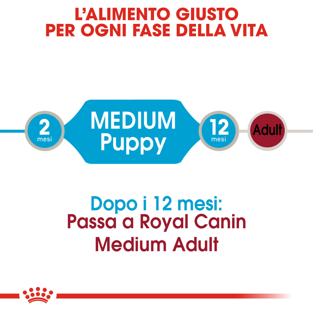 Royal Canin Medium Puppy natvoer