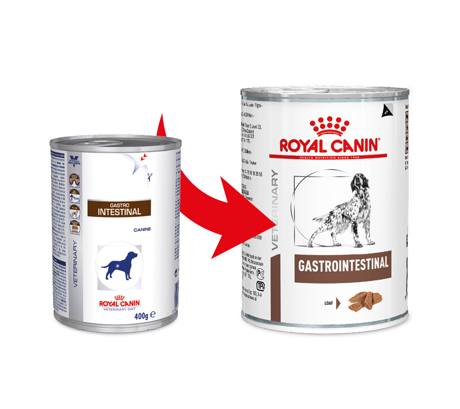 Гастро купить для собак влажный корм интестинал. Роял Канин гастро Интестинал для собак консервы. Роял Канин Гепатик консервы. Роял Канин Гепатик для собак консервы. Royal Canin hepatic для собак консервы.