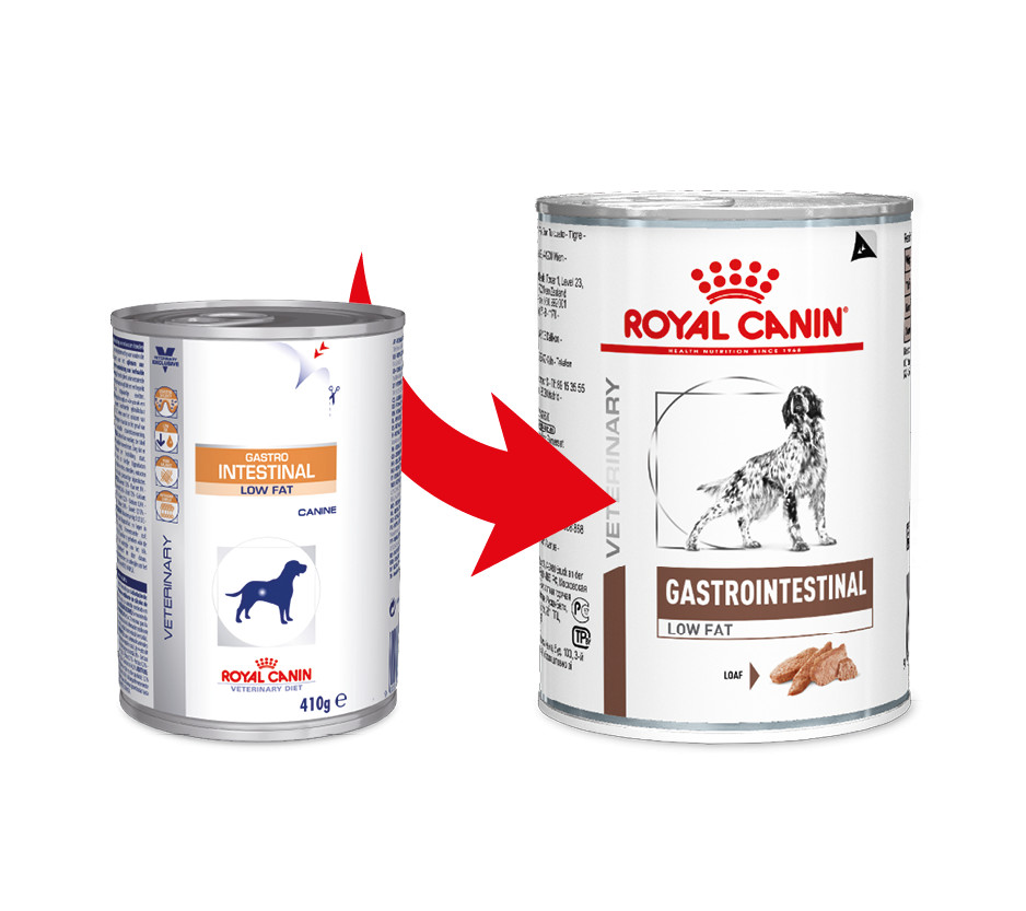 Royal Canin Veterinary Gastrointestinal Low Fat per cane scatola 410 g