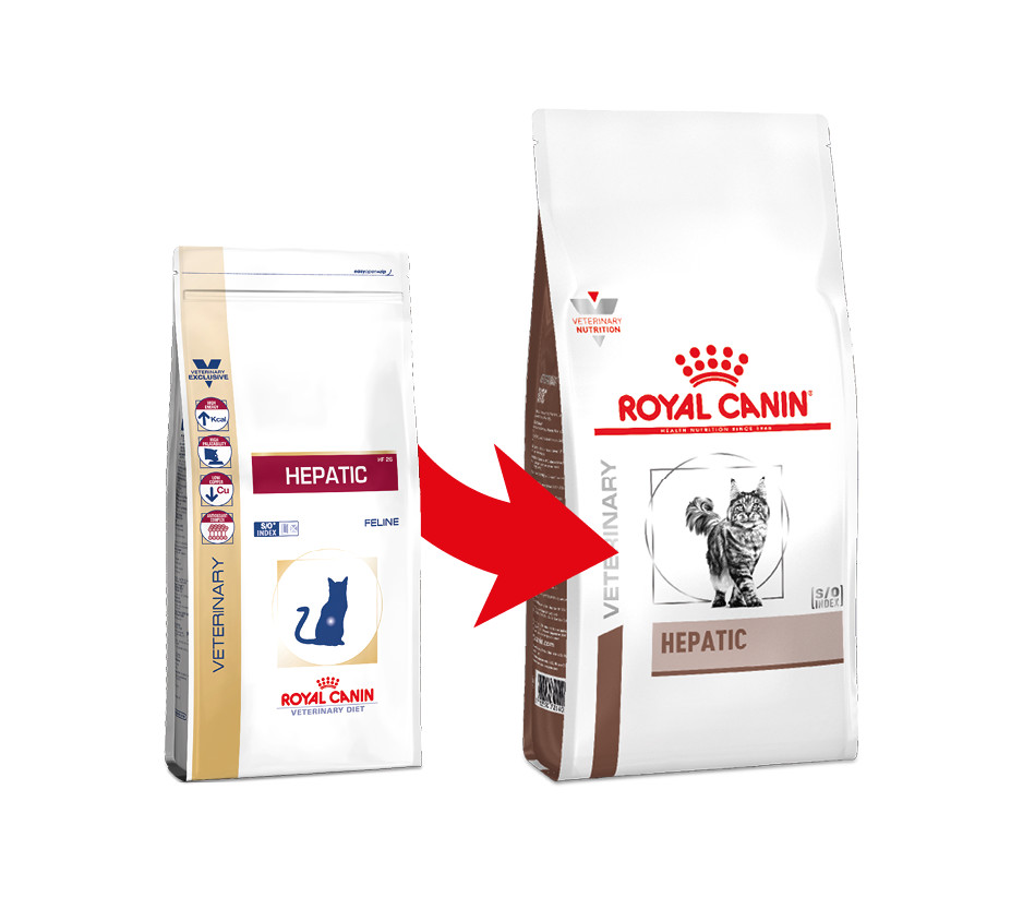 Royal Canin Hepatic Gatto