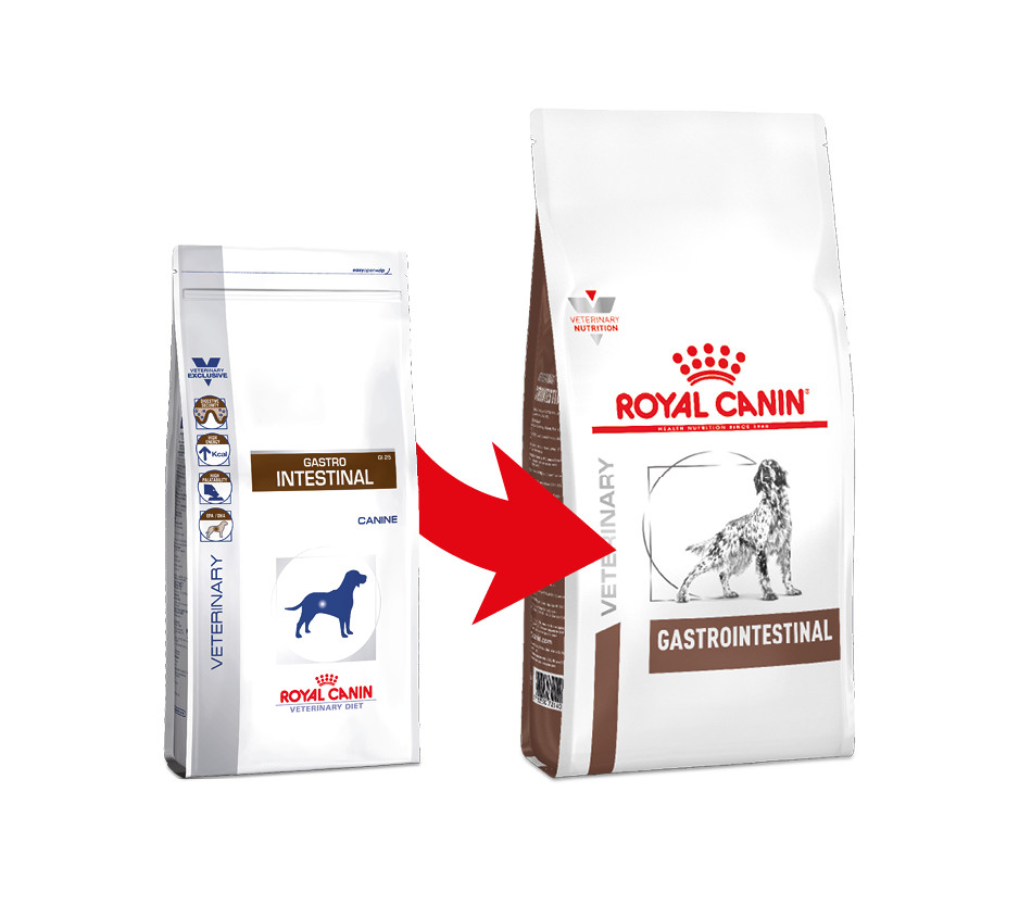 Royal Canin Veterinary Gastrointestinal per cane