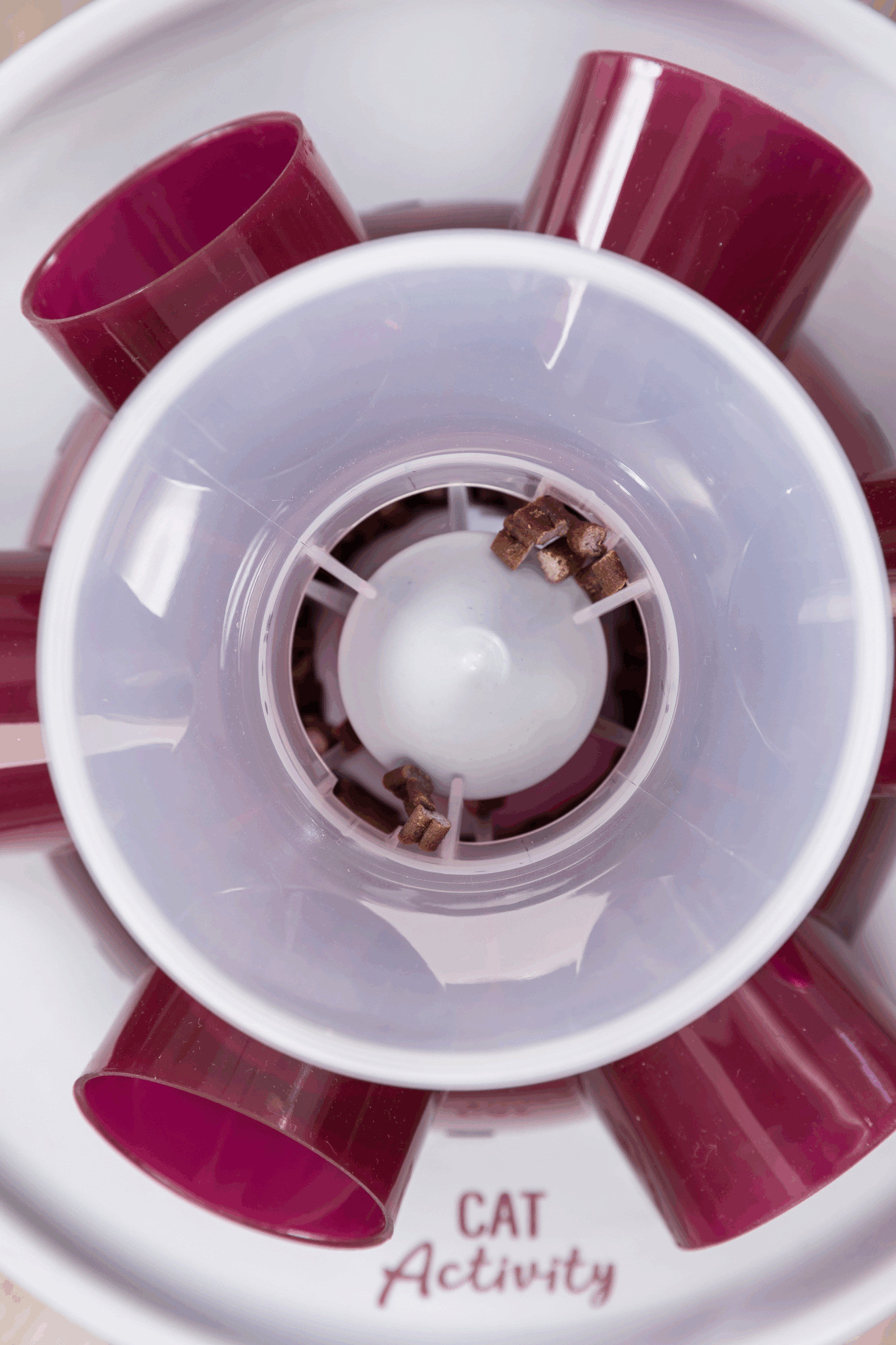 dog care collar instructions