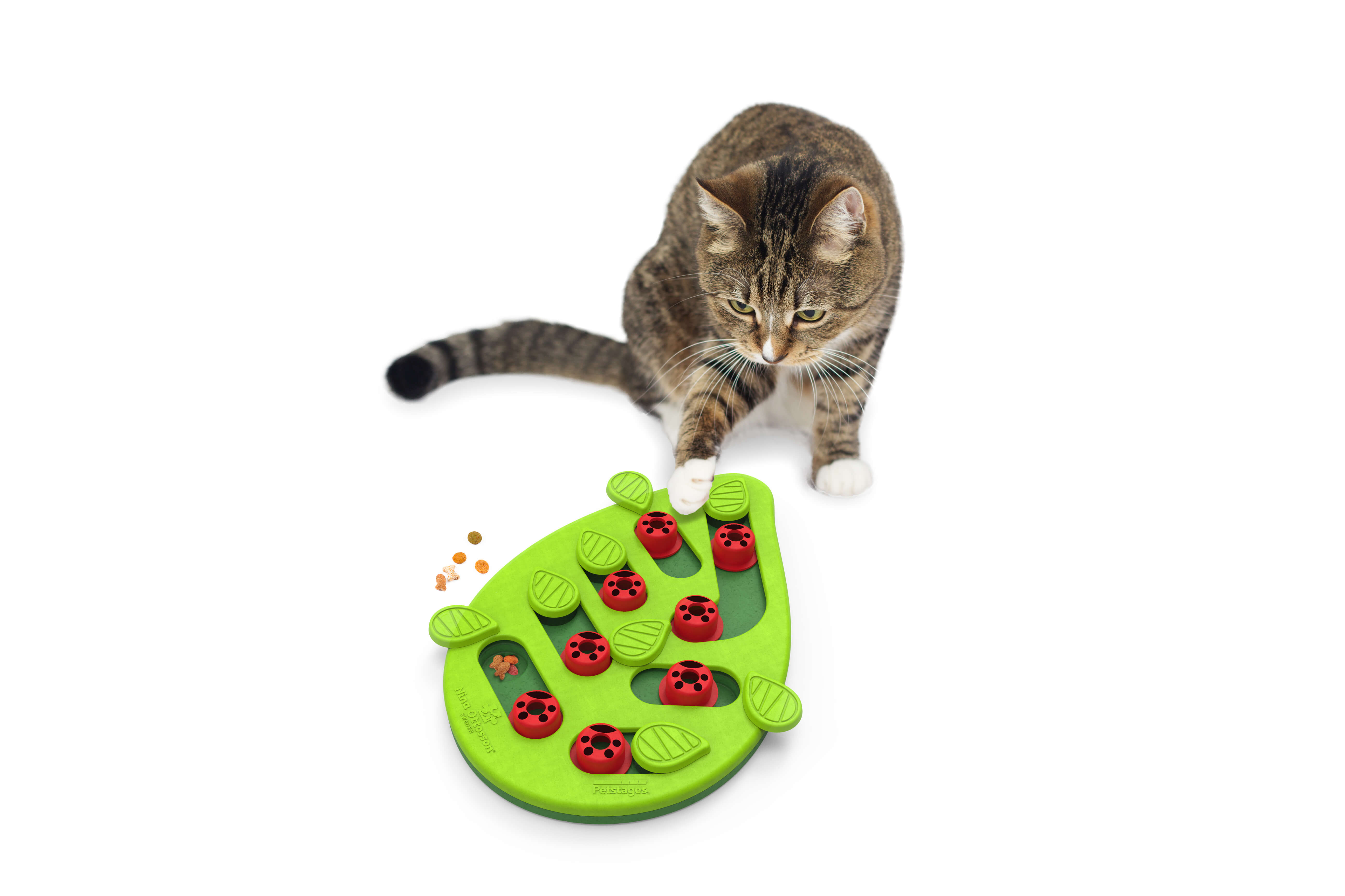 Nina Ottosson Puzzle & Play Buggin Out voor de kat