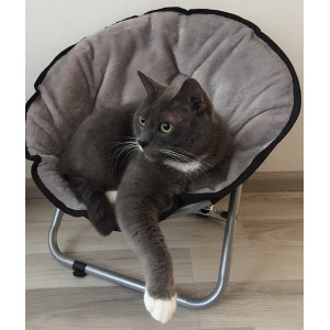 Sedia relax per gatti e cani di piccola taglia