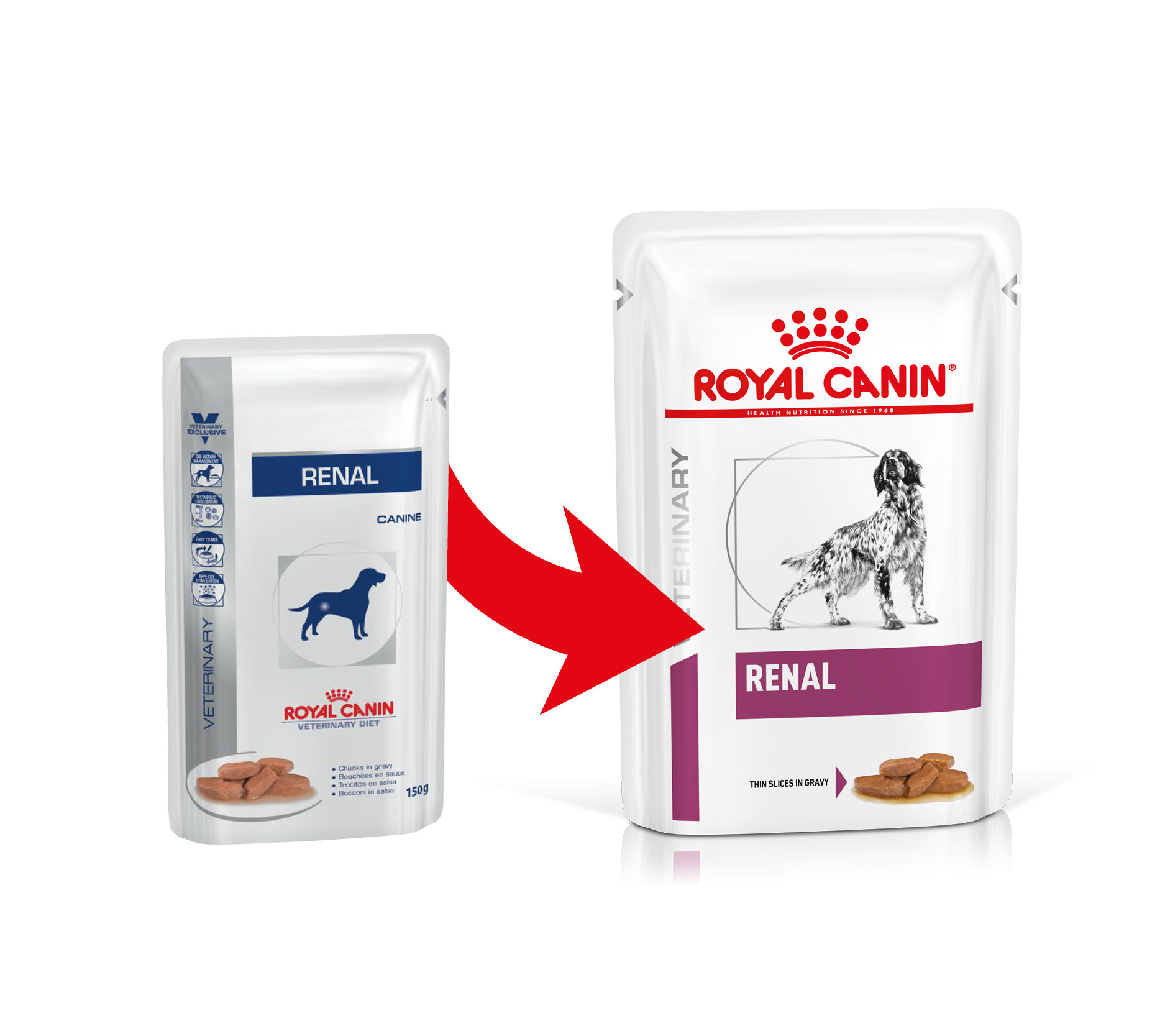 Royal Canin Veterinary Diet Renal cibo umido per cane