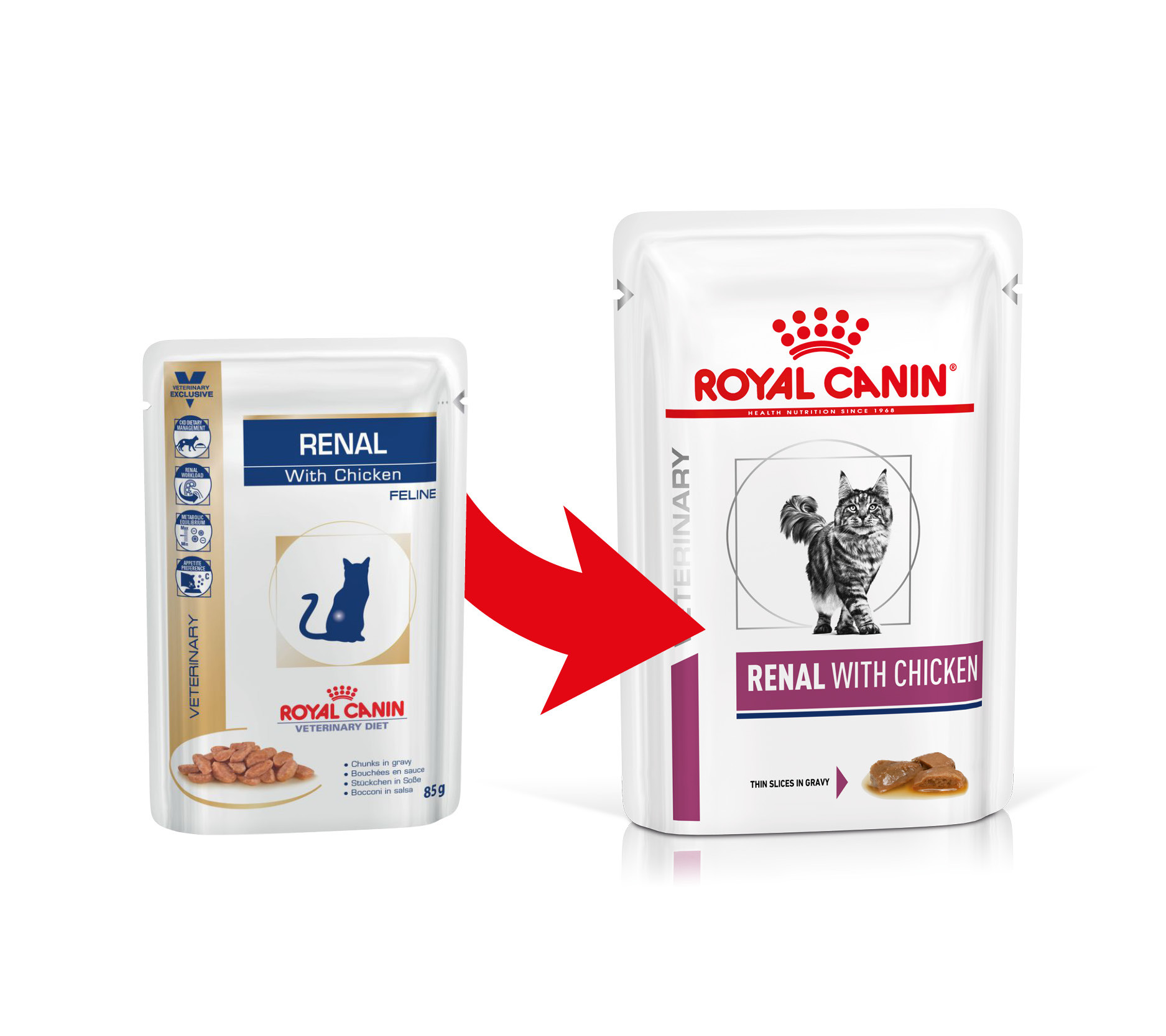 Royal Canin Renal con Pollo cibo umido per gatto