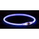 Collare luminoso 65cm blu per cane