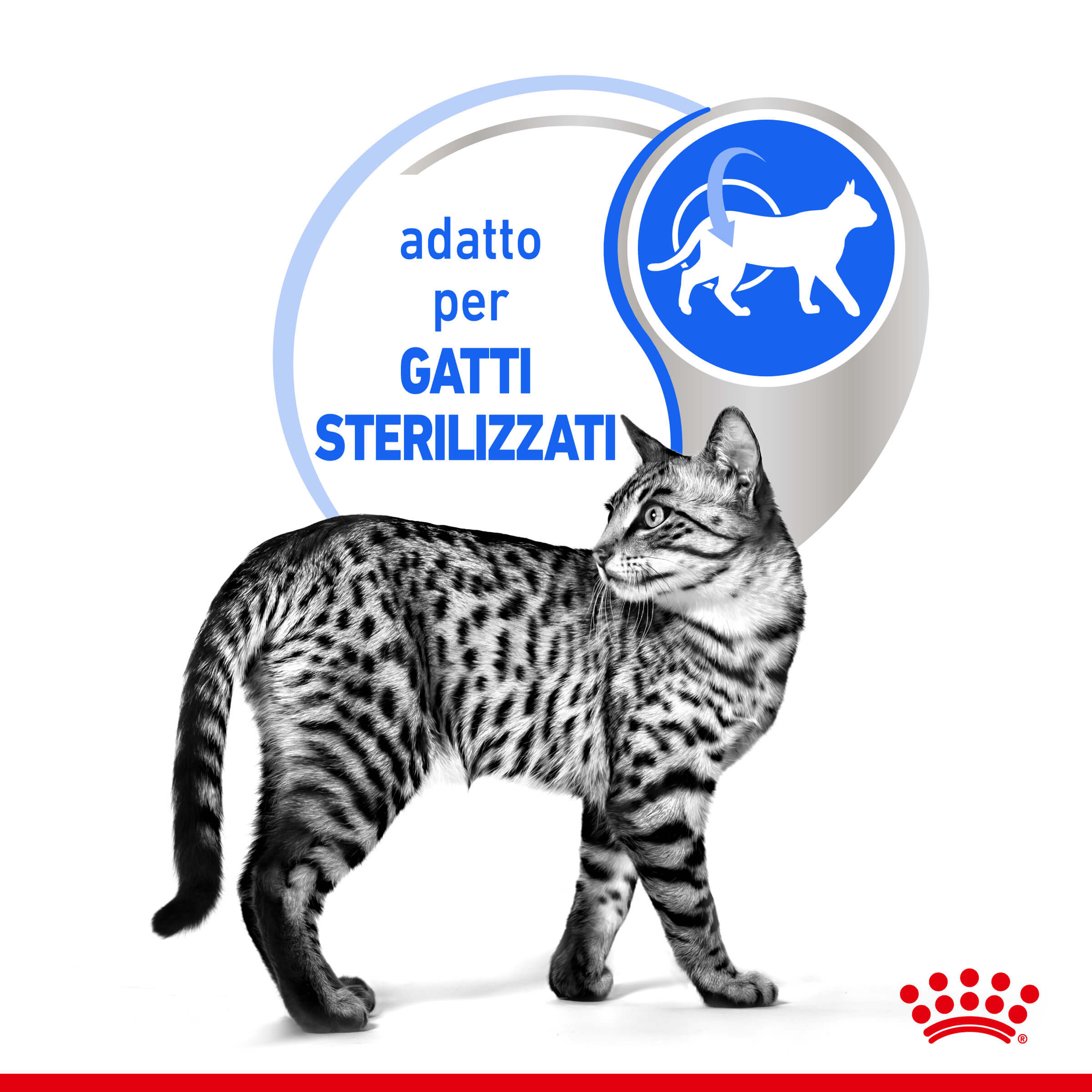 Royal Canin Indoor Sterilised in Gravy kattenvoer x12