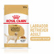 Royal Canin Adult Labrador Retriever cibo umido per cane