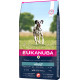 Eukanuba Adult Large Salmone & Orzo per cane