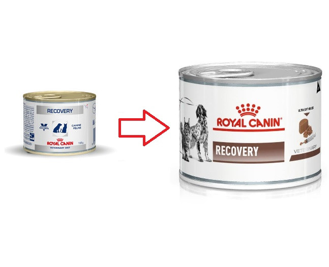 Royal Canin Veterinary Diet Recovery (scatola) per cane e gatti