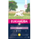 Eukanuba Cane Puppy Small Breed, Pollo