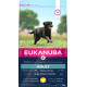 Eukanuba Cane Adulto Taglia Grande, Pollo