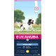 Eukanuba Cane Mature Medium Breed Pollo