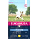 Eukanuba Mature Small Breed Pollo per Cane