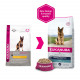 Eukanuba Cane Pastore Tedesco