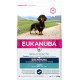 Eukanuba Adult Dachshund (bassotto) per cane