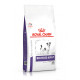 Royal Canin Veterinary Neutered Adult Small Dogs per cane