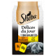 Sheba Délices du Jour con pollo e tacchino in gelatina cibo umido per gatti (bustine da 50 g)