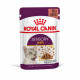Royal Canin Sensory Taste cibo umido per gatto
