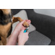 Tagliaunghie piccolo per cane