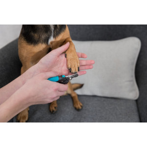 Tagliaunghie piccolo per cane