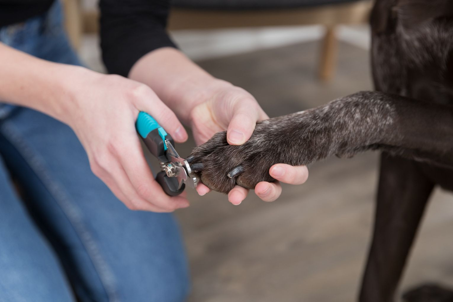 Tagliaunghie grande per cane