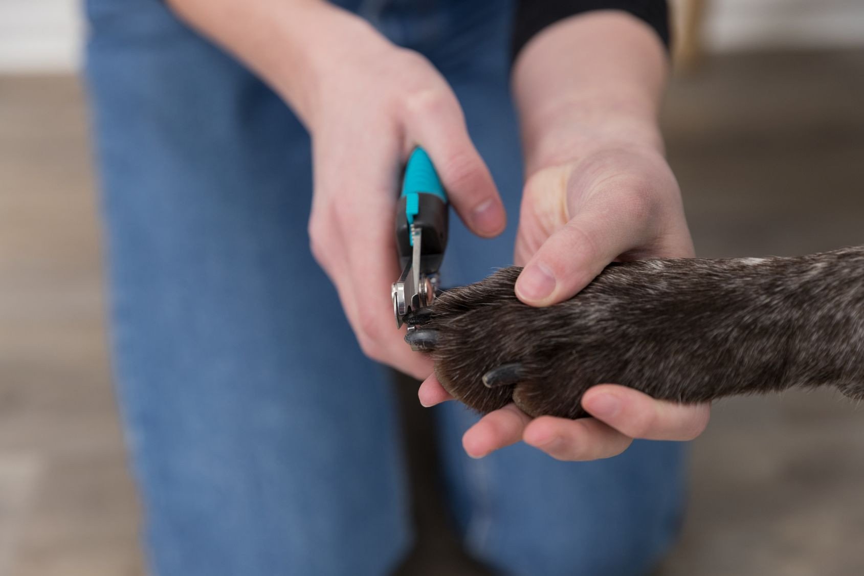 Tagliaunghie grande per cane