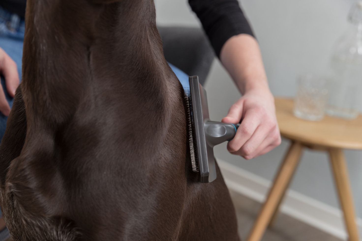Spazzola a setole grande per cane
