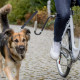 Supporto guinzaglio a U per bici per cane