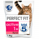 Perfect Fit Active 1+ con manzo per gatto