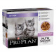 Pro Plan Gattino Tacchino in Salsa bustine – 10 x 85 gr
