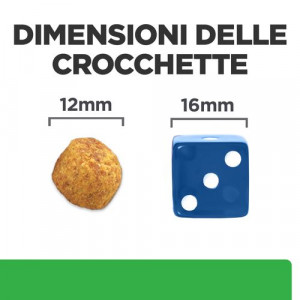 Hill’s Prescription R/D Weight Reduction per cane