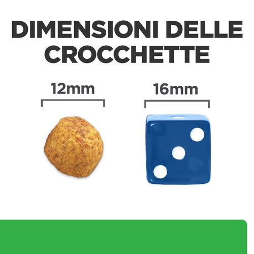 Hill’s Prescription R/D Weight Reduction per cane