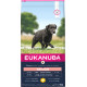 Eukanuba Cane Senior Large Breed, Pollo