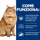 Hill's Prescription K/D+Mobility Kidney+Joint Care per gatto