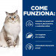 Hill's Prescription Diet J/D Joint Care per gatto