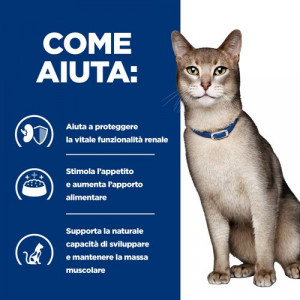 Hill's Prescription Diet K/D Kidney Care gatto con pollo