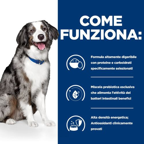 Hill's Prescription I/D (i/d) Sensitive Digestive Care con uovo per cane