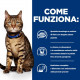Hill's Prescription Diet T/D Dental Care per gatto