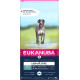 Eukanuba Adult L/XL senza cereali al pesce per cane