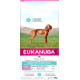 Eukanuba Daily Care Puppy Sensitive Digestion per cane (cucciolo)