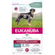 Eukanuba Daily Care Monoprotein con salmone per cane